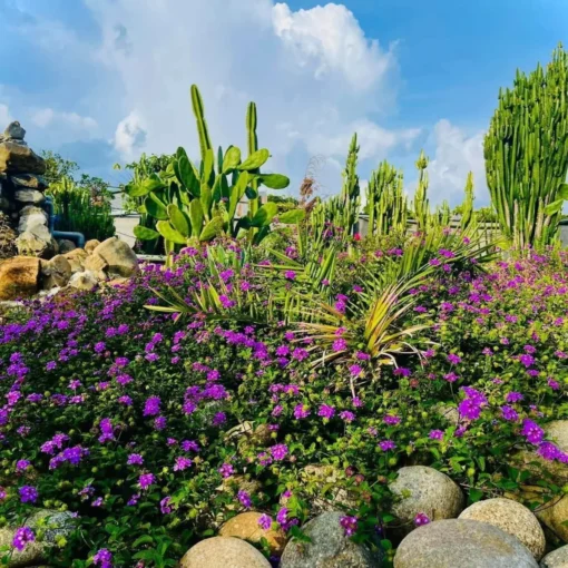 Đất mặt tiền QL28 trung tâm Tà Đùng - hơn 2.100m² - 400m² đất ở